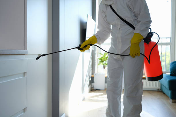 Mold Remediation for Rental Properties in Plainfield Village, CT